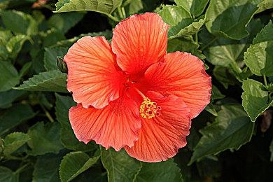 欧盟监管AI达成初步协议 迄今为止同类“最全面”规则